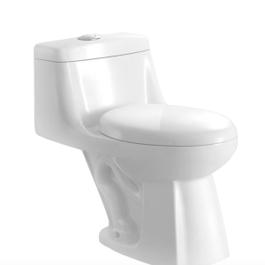 188036 TOILET DUAL FLUSH ELONGATED-FRONT 4.8L/6L 1-PIECE WHITE