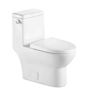 TZO K-324S ONE PIECE 4.8L TOILET