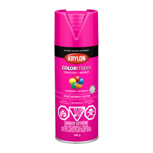 KRYLON COLORMAXX GLOSS MAMBO