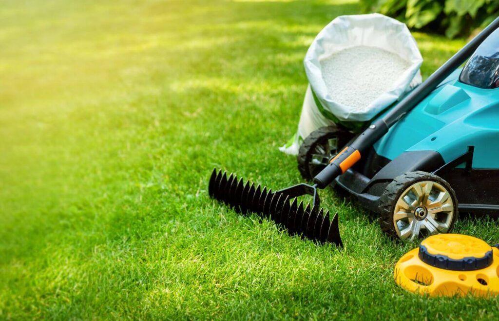 how to look after your lawn toronto