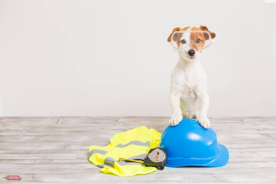reno liquidators pet friendly